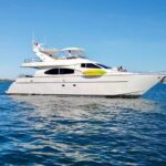 Yacht Rentals